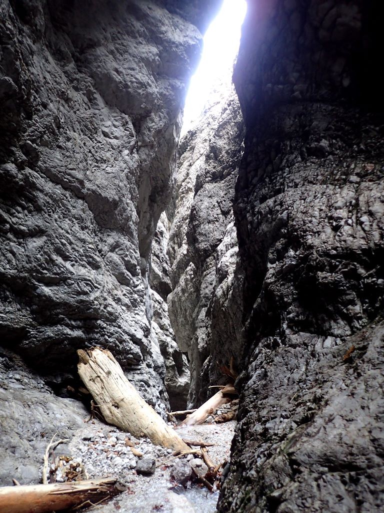 schwarz6.JPG - 302.25 kb