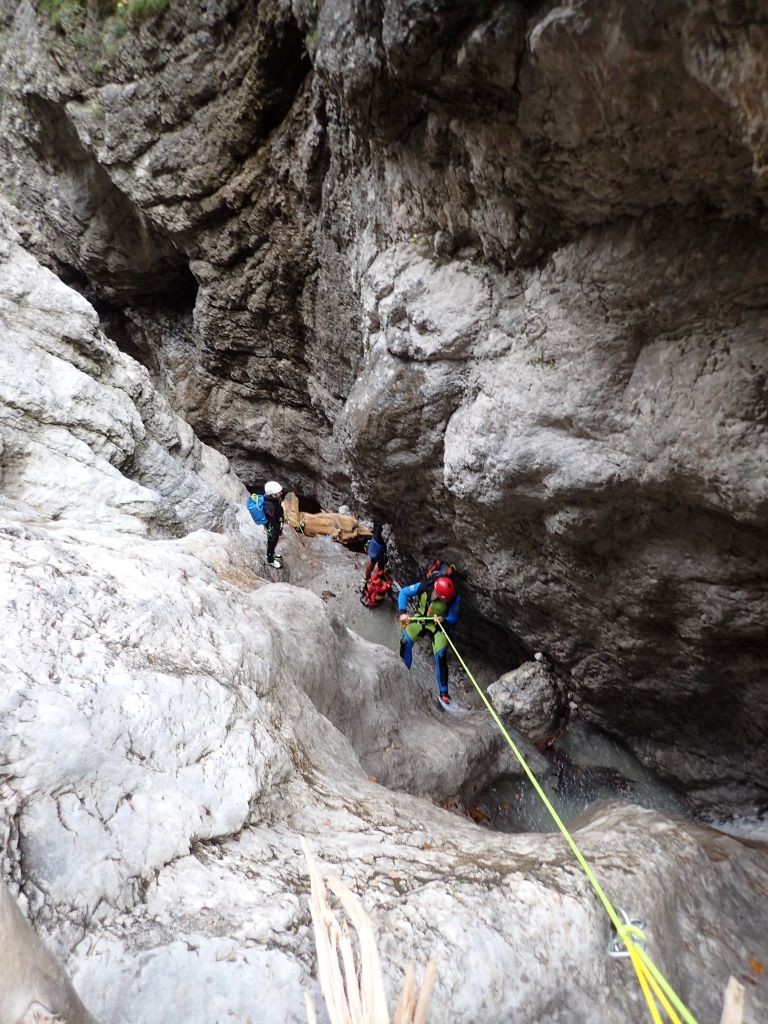 schwarz7.JPG - 248.2 kb