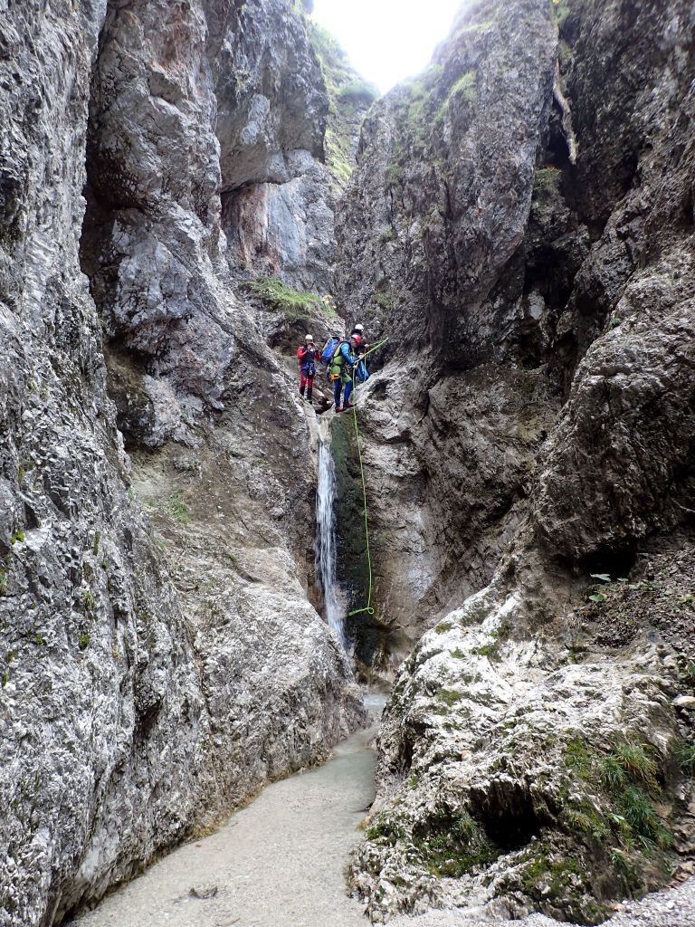 schwarz8.JPG - 408.61 kb