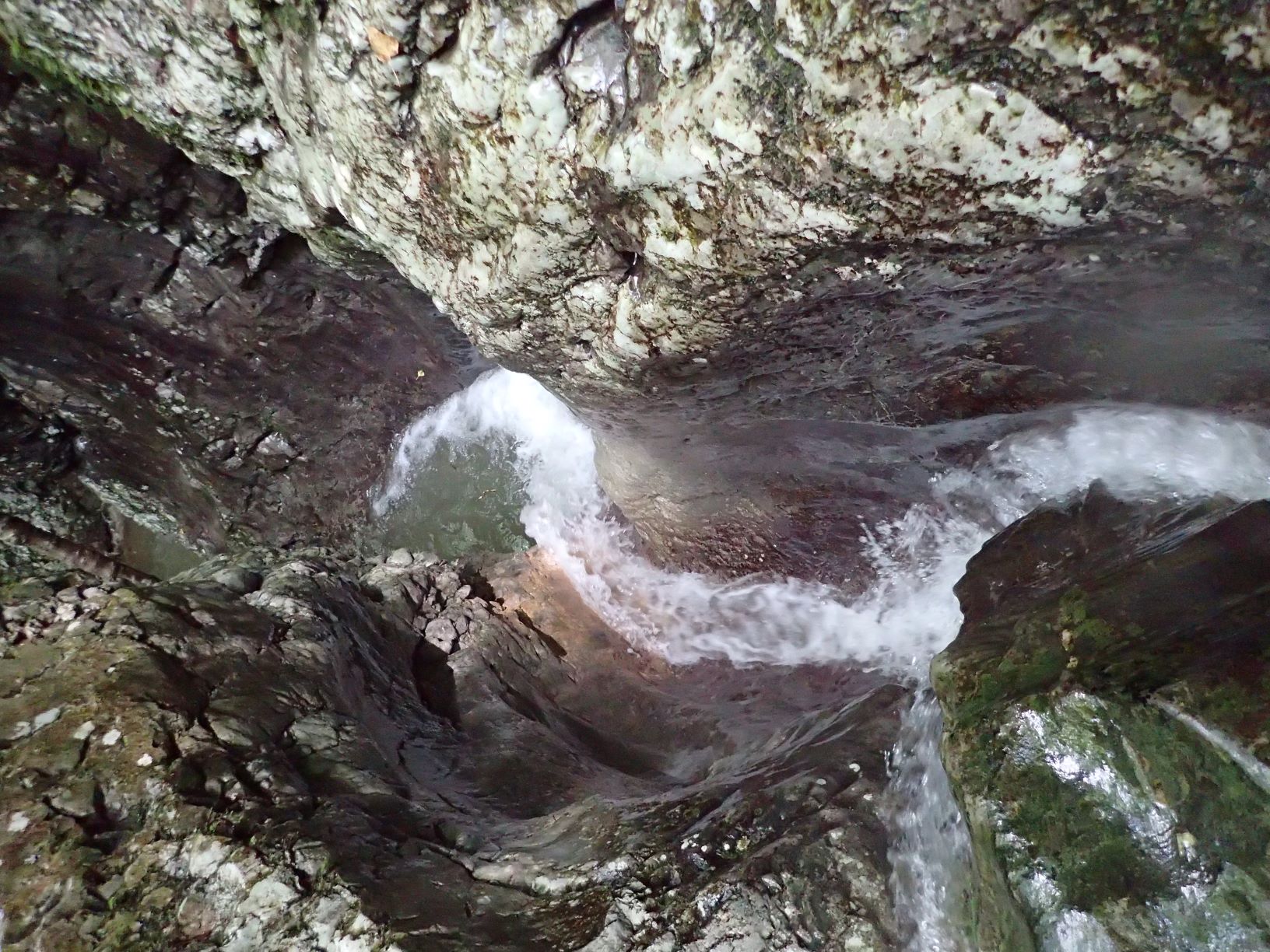 P5260115.xnbak.jpg - 3.29 MB