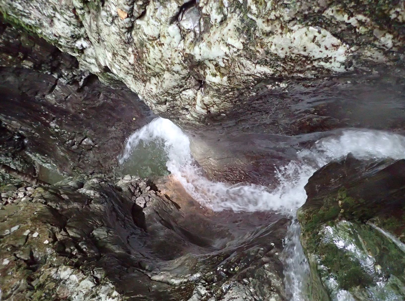 P5260115.xnbak.xnbak.jpg - 425.09 kb