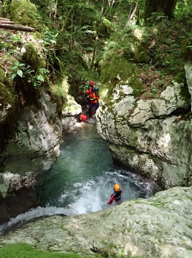 P5260098.xnbak.jpg - 308.79 kb