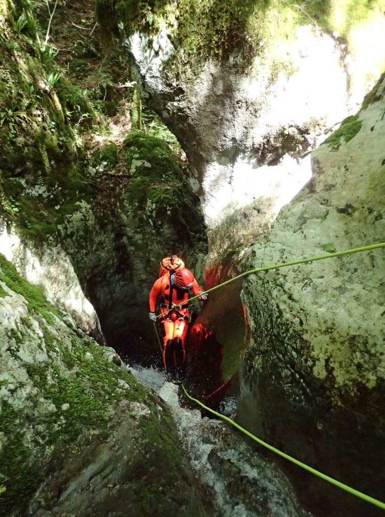 P5260107.xnbak.jpg - 276.53 kb