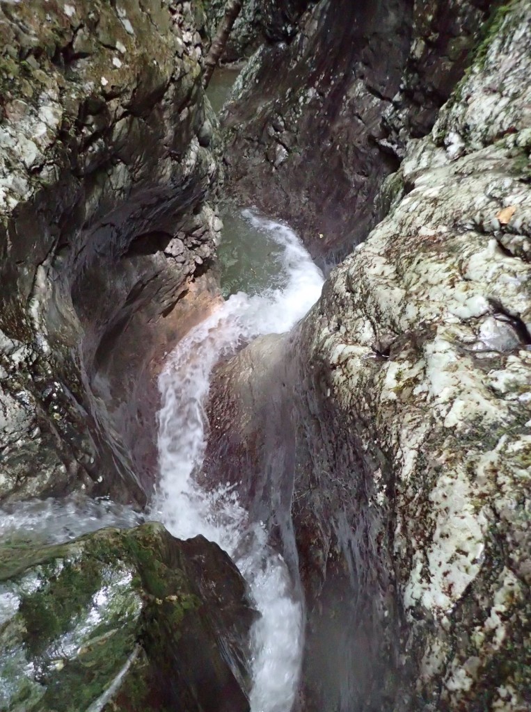 P5260115.xnbak.xnbak.xnbak.jpg - 270.9 kb