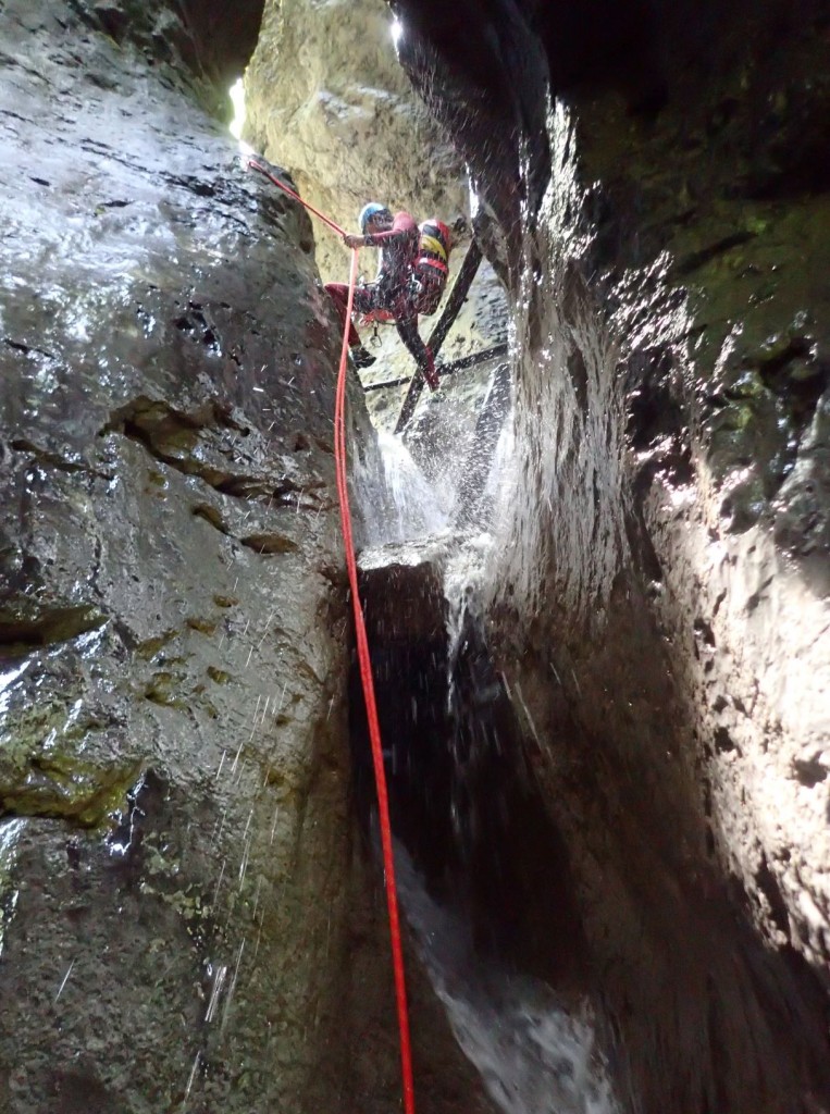 P5260161.xnbak.jpg - 233.95 kb