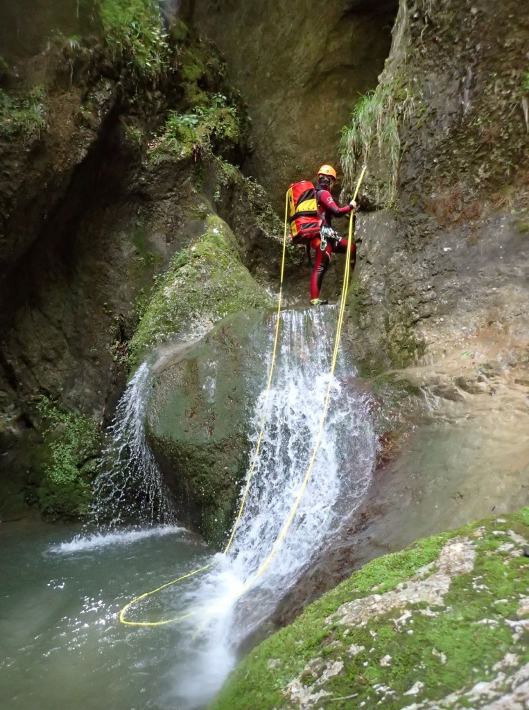 P5260172.xnbak.jpg - 256.48 kb