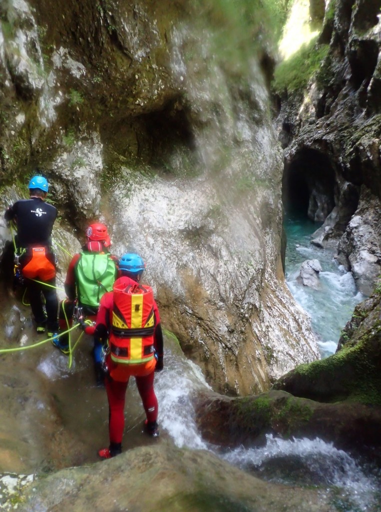 P5260179.xnbak.jpg - 227.08 kb