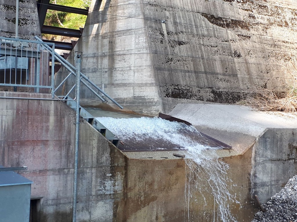 Wasserstandskontrolle3_medium.jpg - 287.75 kb