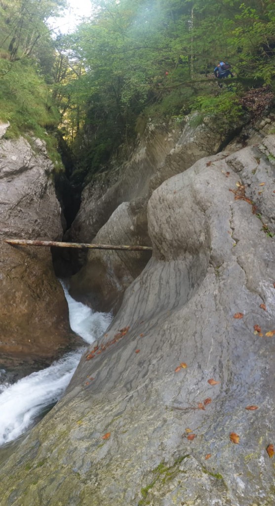 IMG-20190915-WA0007.jpg - 162.42 kb