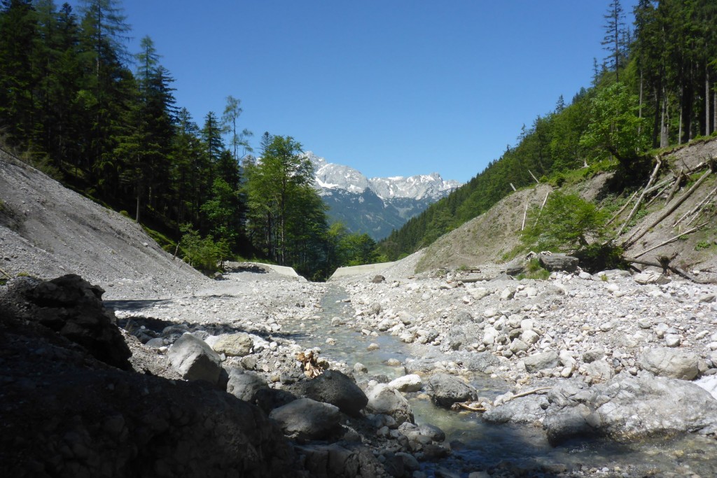 zw_oberer_u_unterer_Teil.jpg - 215.82 kb