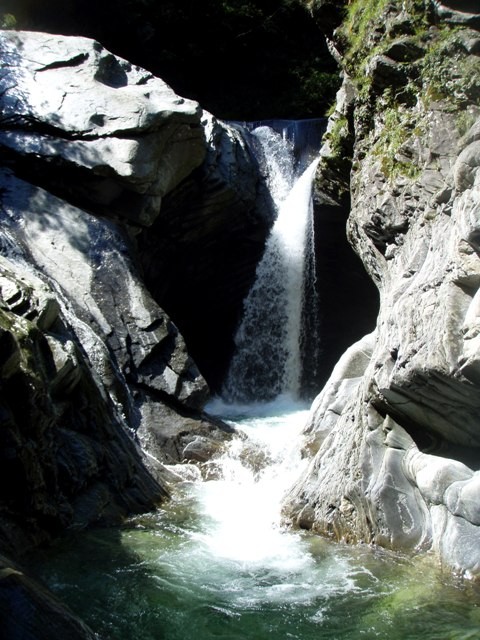 P8120144.JPG - 101.63 kb