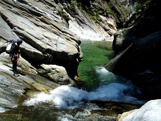 P8120233.JPG - 115.18 kb