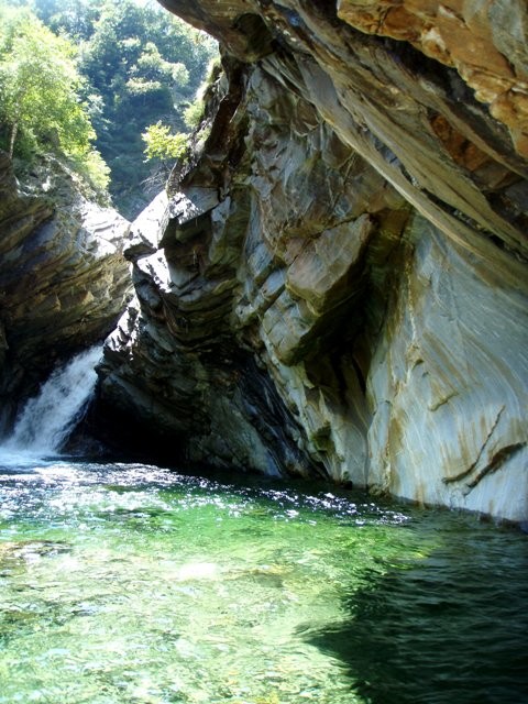 P8120248.JPG - 111.25 kb