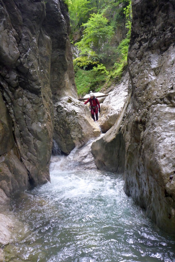 P1020200.JPG - 257.41 kb