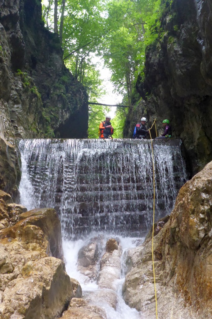 P1020216.JPG - 253.61 kb