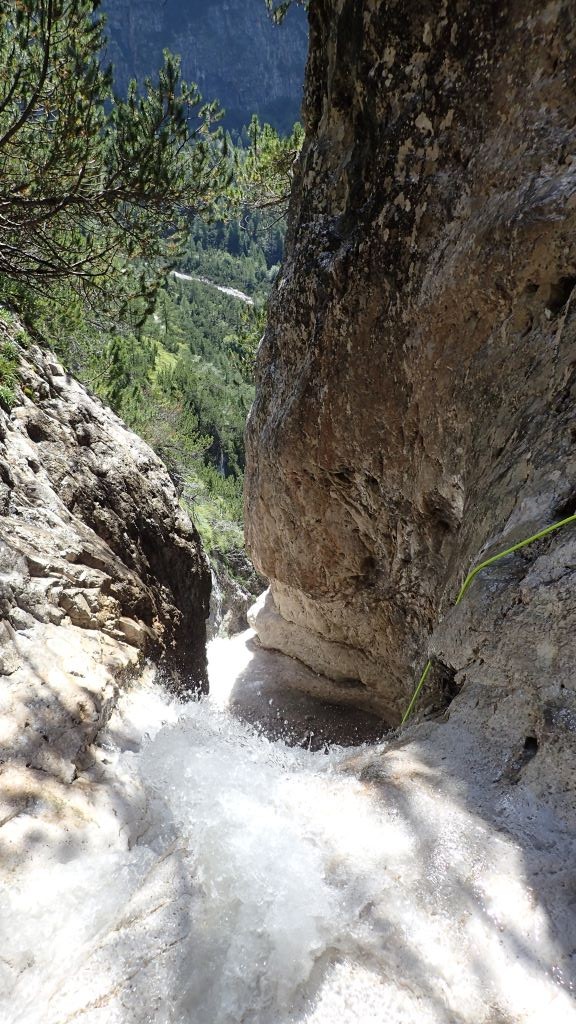 P8120148.JPG - 225.55 kb