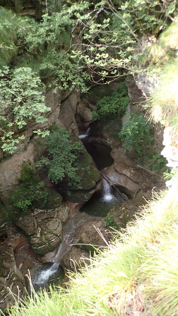 P8140598.JPG - 205.61 kb