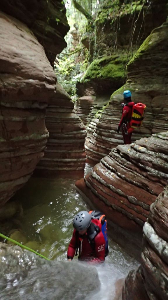 P8140667.JPG - 133.79 kb