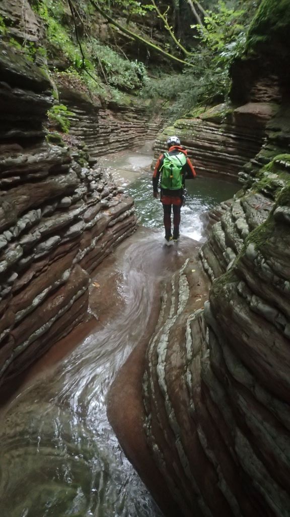 P8140678.JPG - 152.86 kb