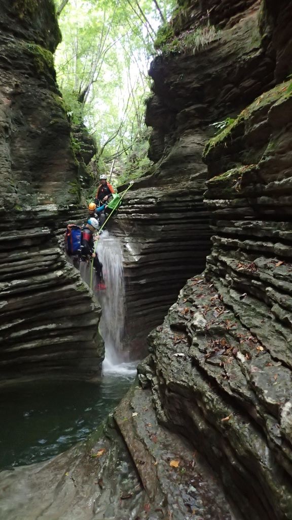 P8140706.JPG - 166.5 kb