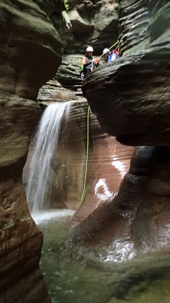 P8140728.JPG - 112.24 kb