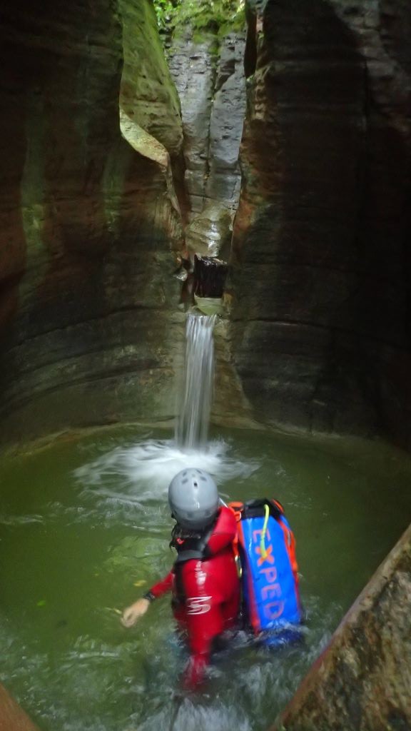 P8140734.JPG - 88.72 kb