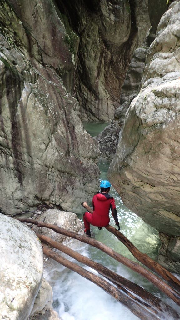 P8110021.JPG - 181.85 kb