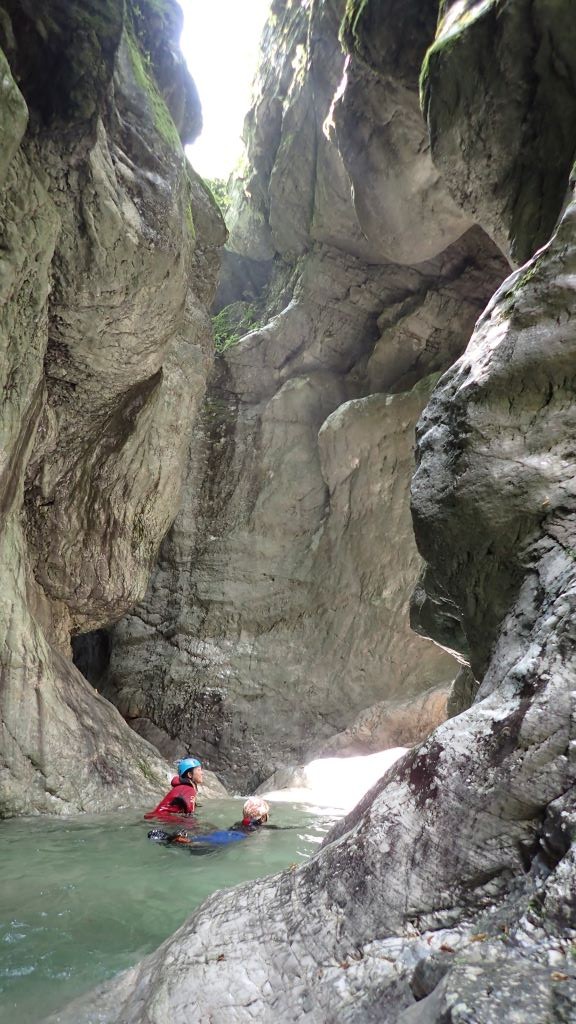 P8110024.JPG - 179.98 kb