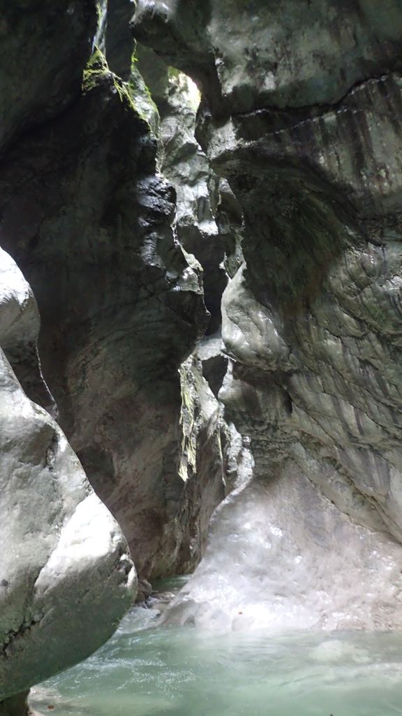 P8110043.JPG - 124.93 kb