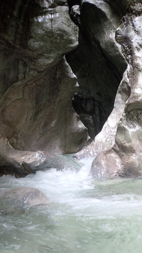 P8110051.JPG - 126.43 kb