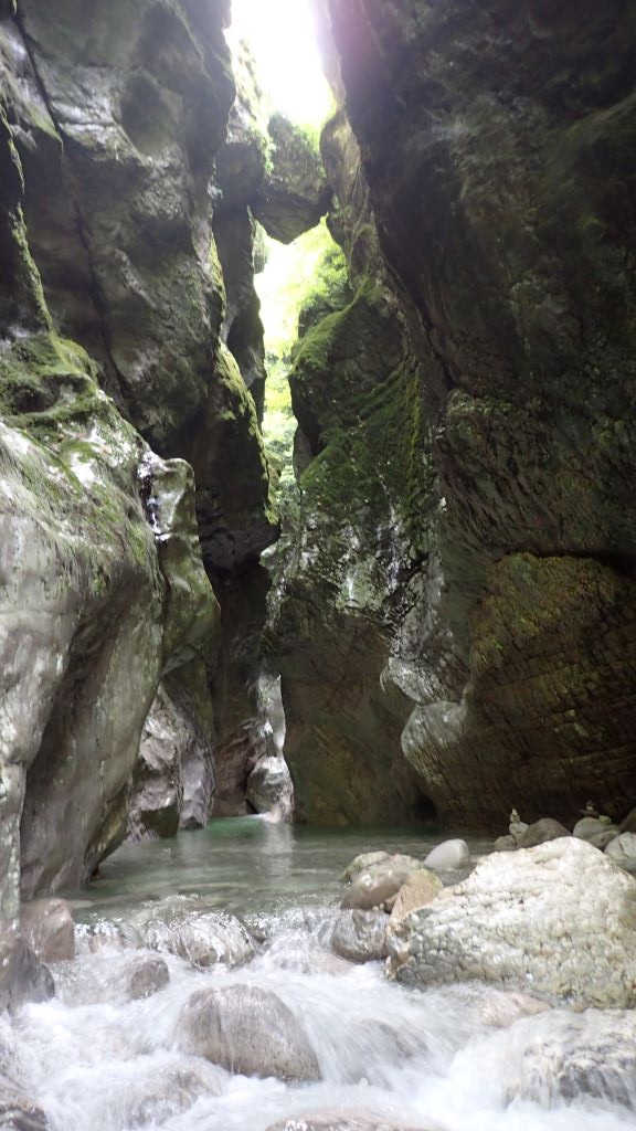 P8110057.JPG - 139.45 kb