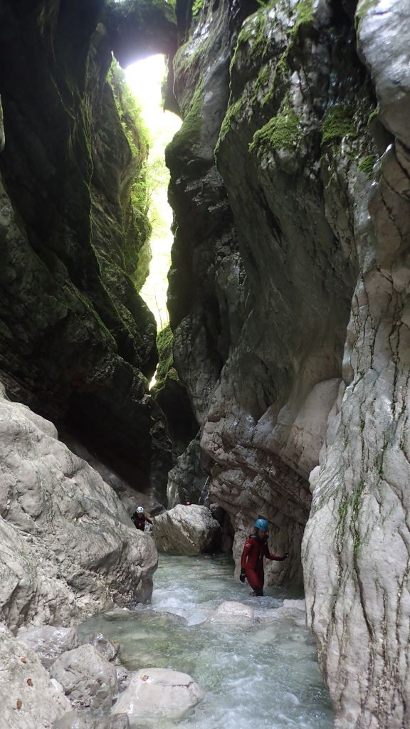 P8110061.JPG - 163.36 kb