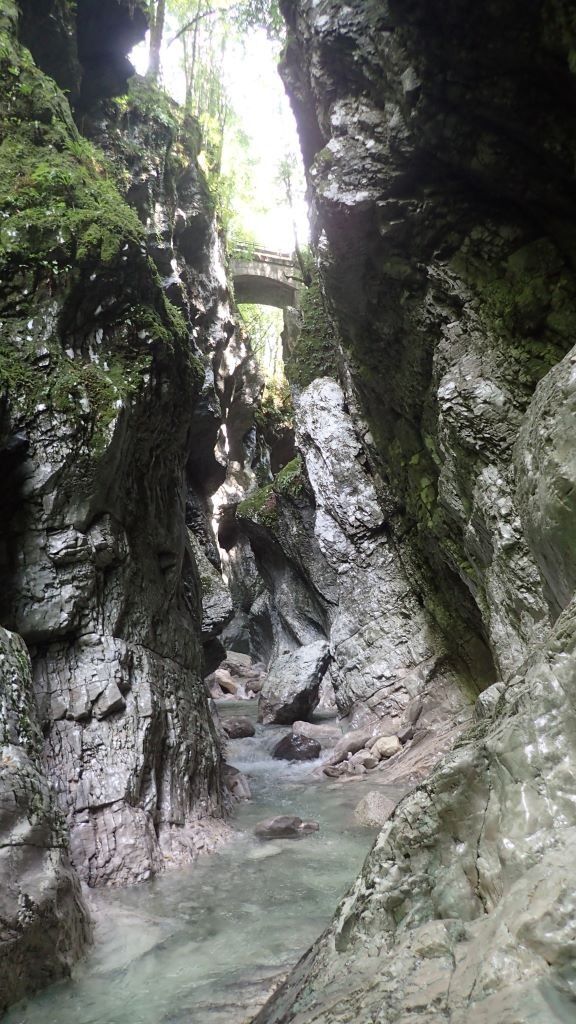 P8110065.JPG - 207.95 kb