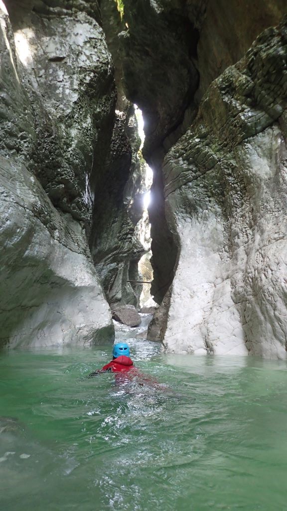 P8110070.JPG - 164.75 kb