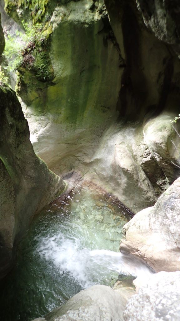 P8150805.JPG - 136.71 kb