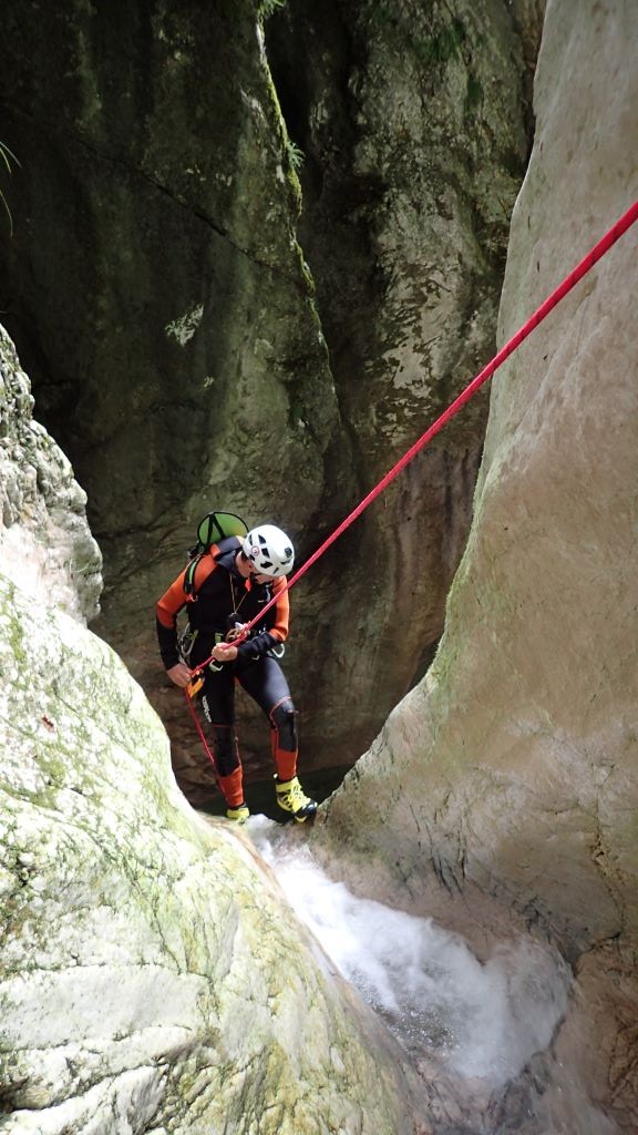 P8150814.JPG - 154.4 kb