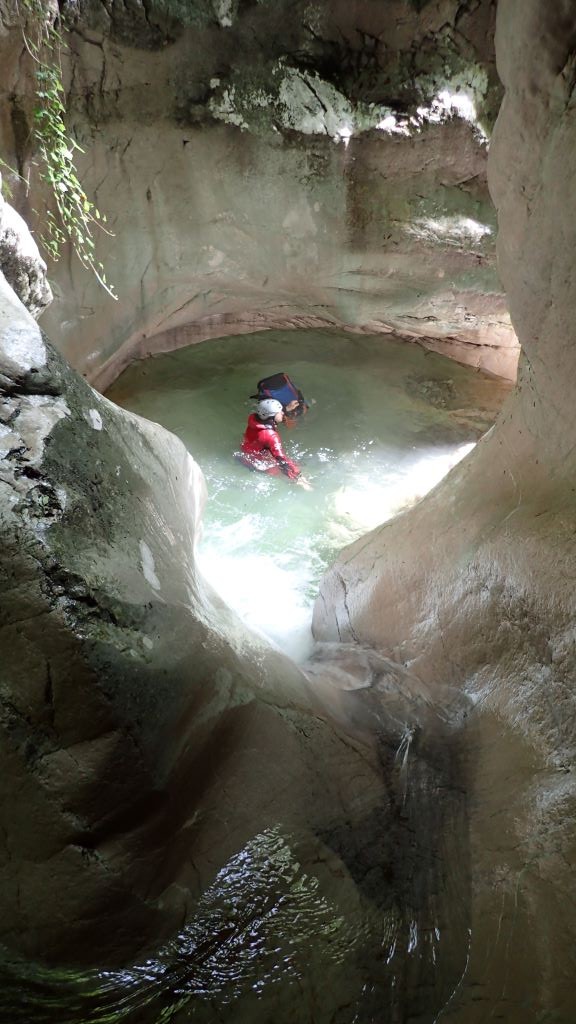 P8150849.JPG - 133.82 kb