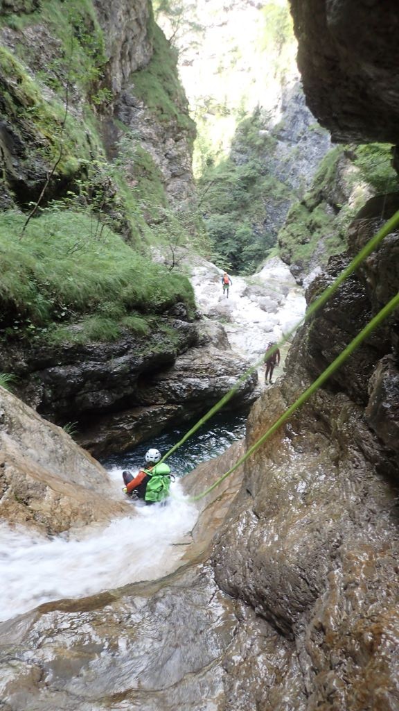 P8130470.JPG - 197.59 kb