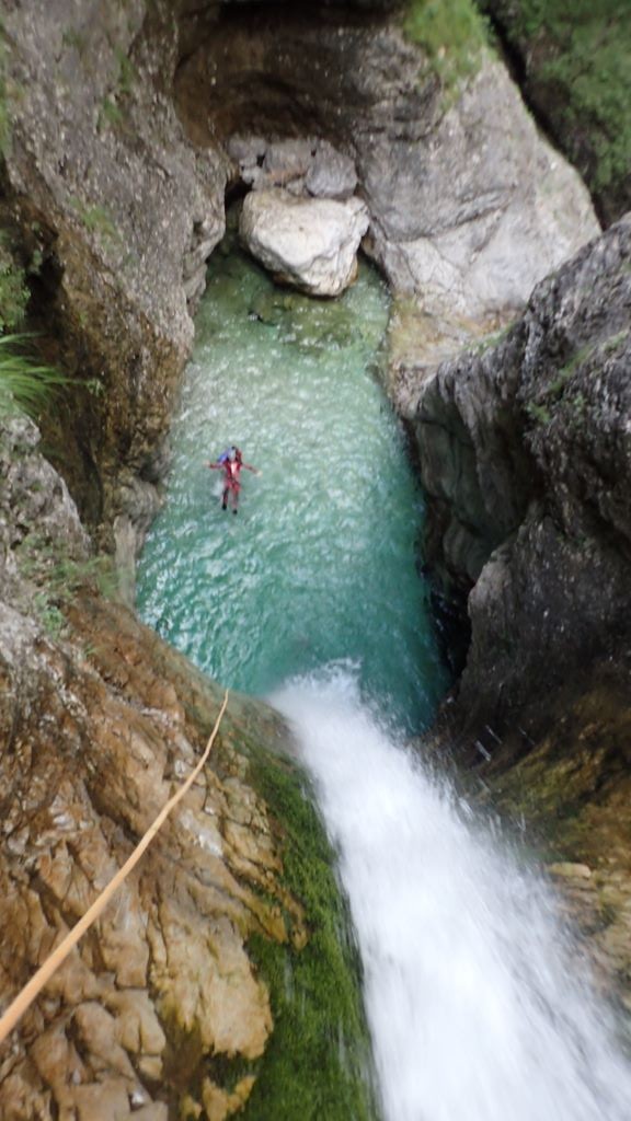 P8130476.JPG - 131.74 kb