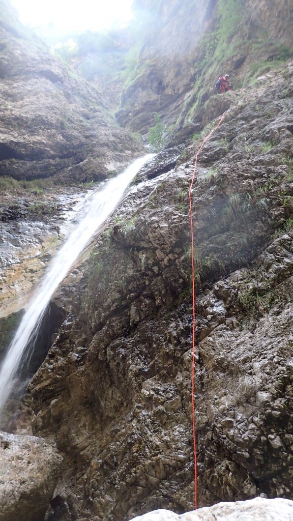 P8130503.JPG - 207.99 kb