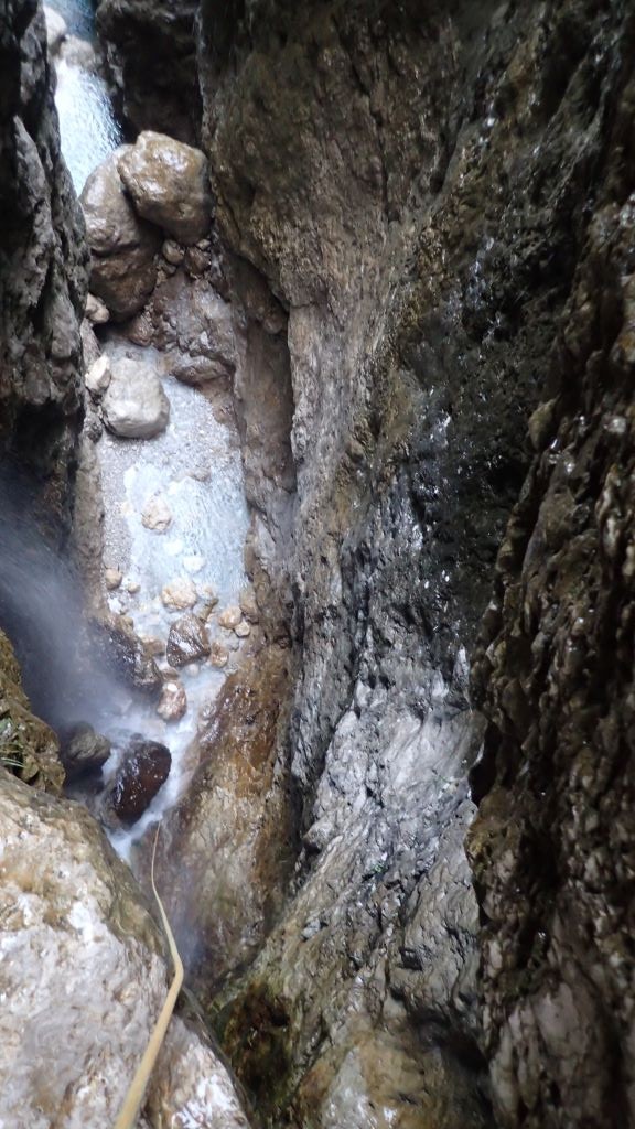 P8130516.JPG - 171.4 kb