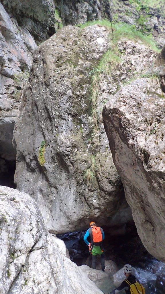 P8130344.JPG - 232.92 kb