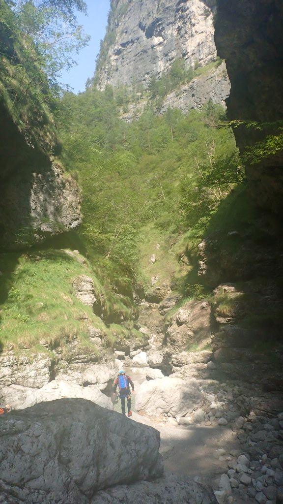 P8130363.JPG - 172.77 kb