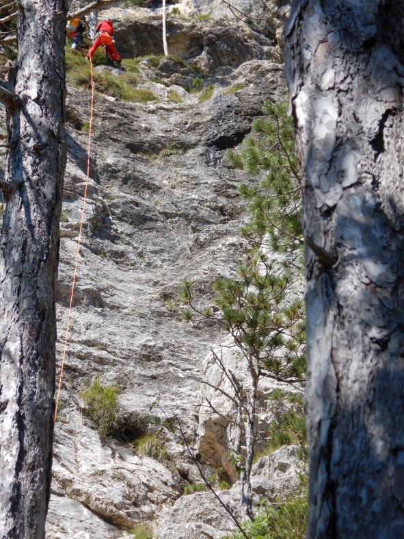 DSCN1226.JPG - 217.11 kb