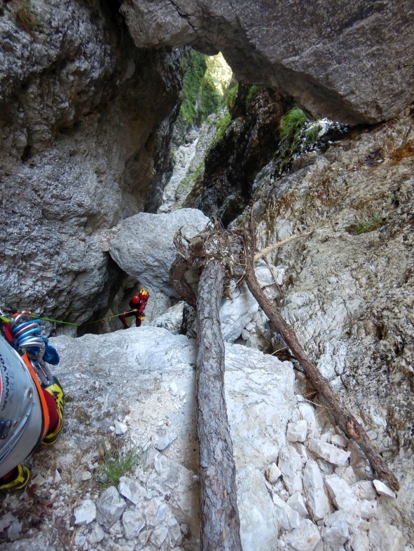 DSCN1230.JPG - 204.38 kb