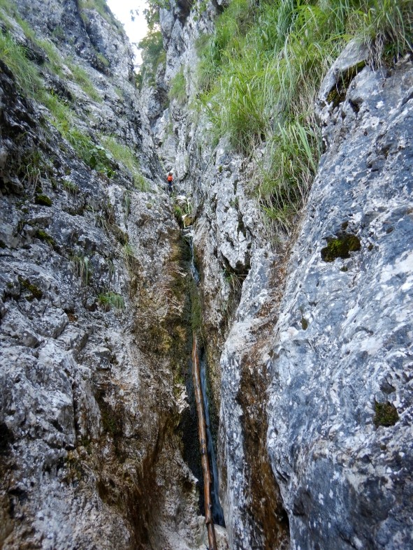 DSCN1256.JPG - 240.55 kb