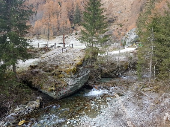 20201115_084024.jpg - 119.93 kb