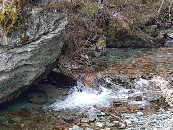 20201115_084036.jpg - 114.57 kb