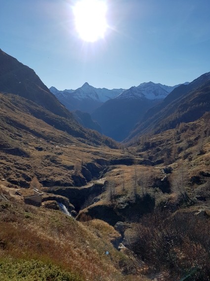 20201115_101705.jpg - 72.87 kb