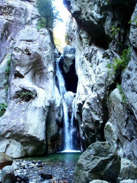 Casenda7.JPG - 130.15 kb